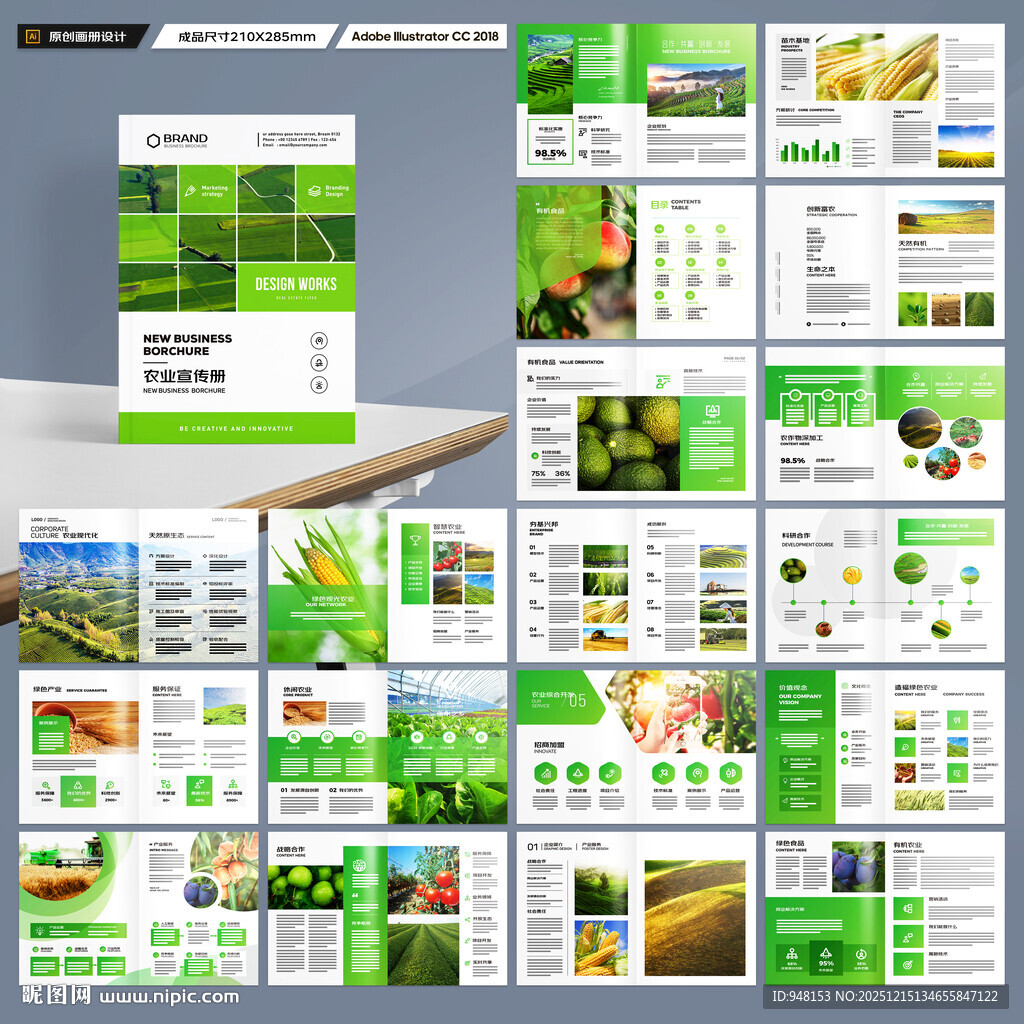 农产品宣传册