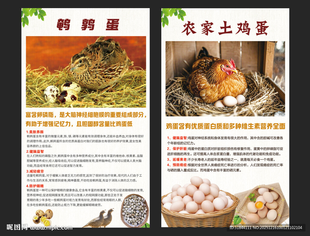 土鸡蛋鹌鹑蛋海报