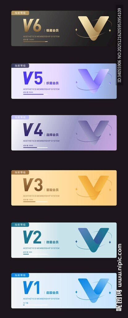 VIP会员卡等级图标