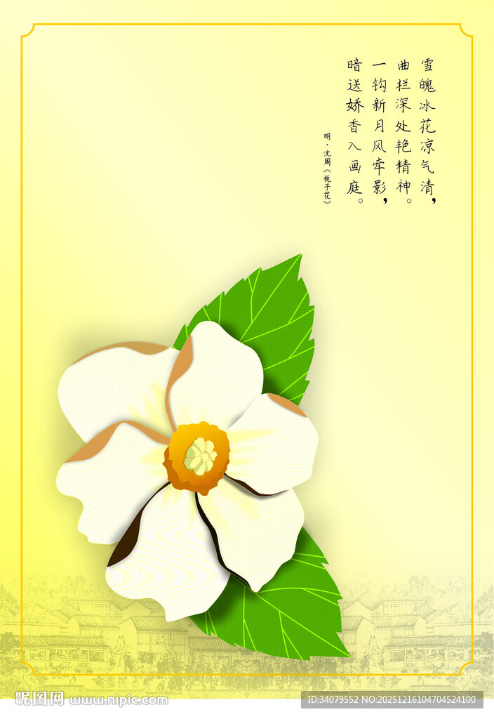 清新白色花朵插画