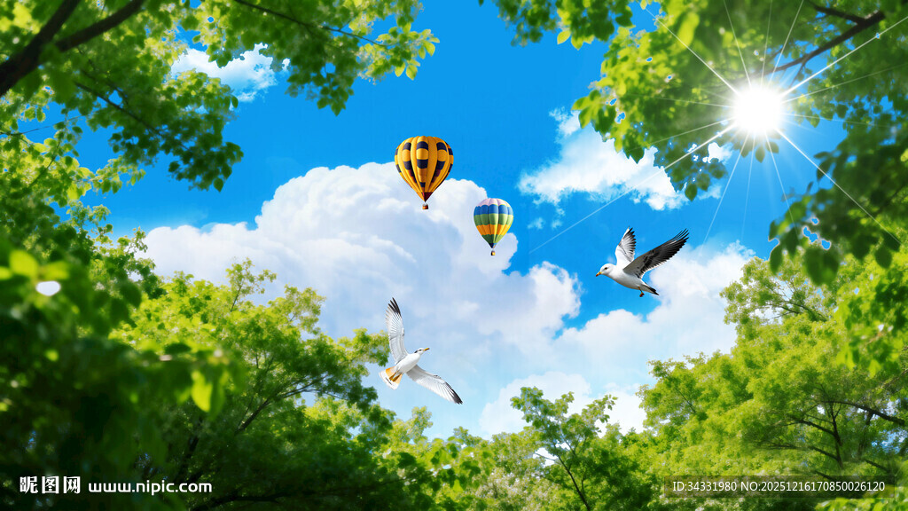 蓝天白云森林仰望