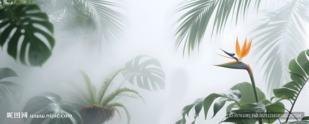 雾气磨砂膜效果绿植贴图