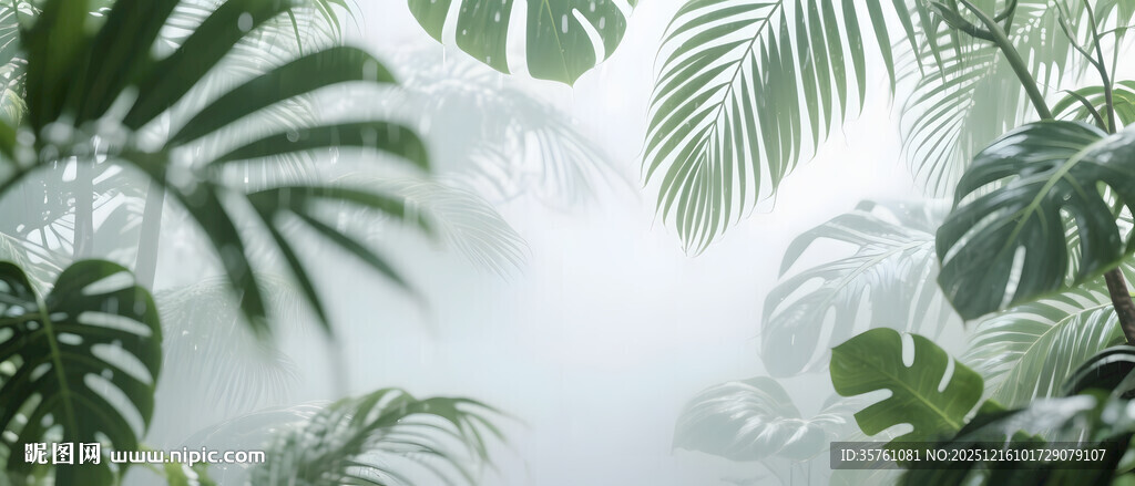 雾气磨砂膜效果绿植贴图