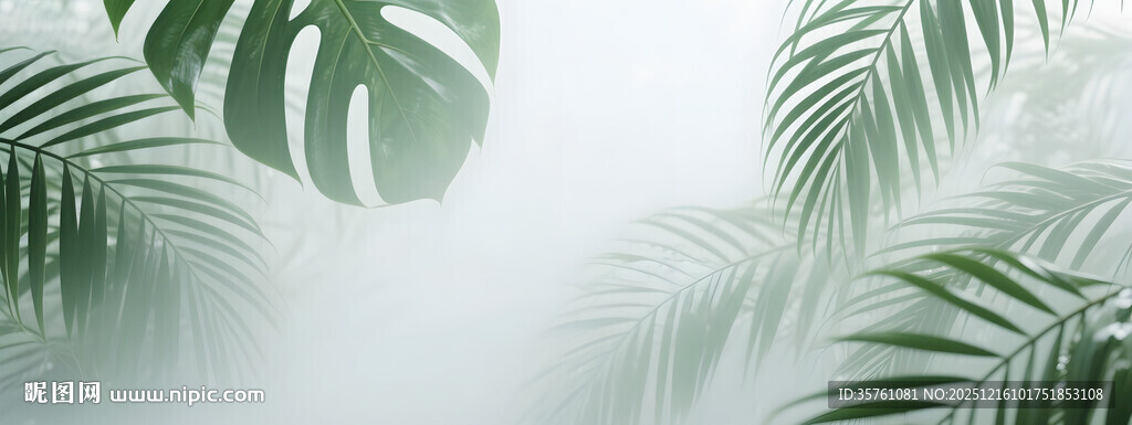 雾气磨砂膜效果绿植贴图