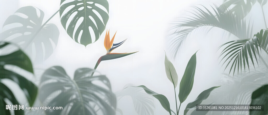 雾气磨砂膜效果绿植贴图