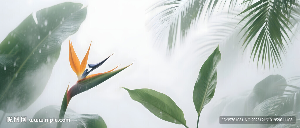 雾气磨砂膜效果绿植贴图