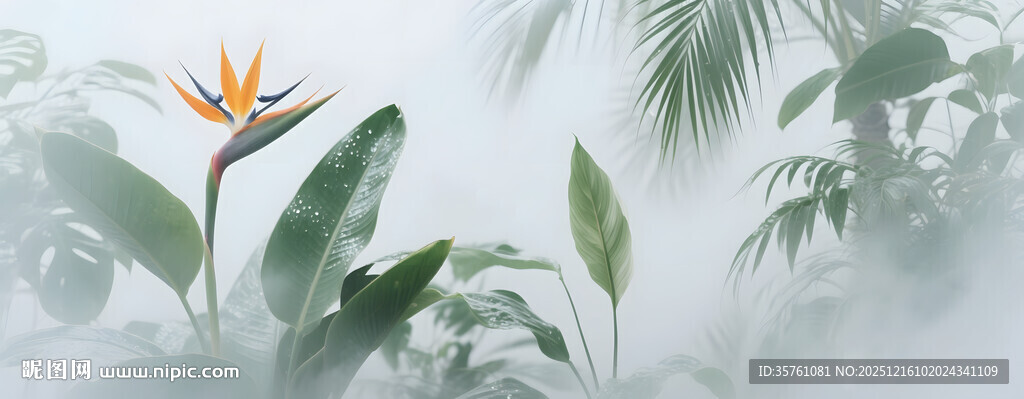 雾气磨砂膜效果绿植贴图