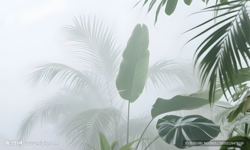 雾气磨砂膜效果绿植贴图