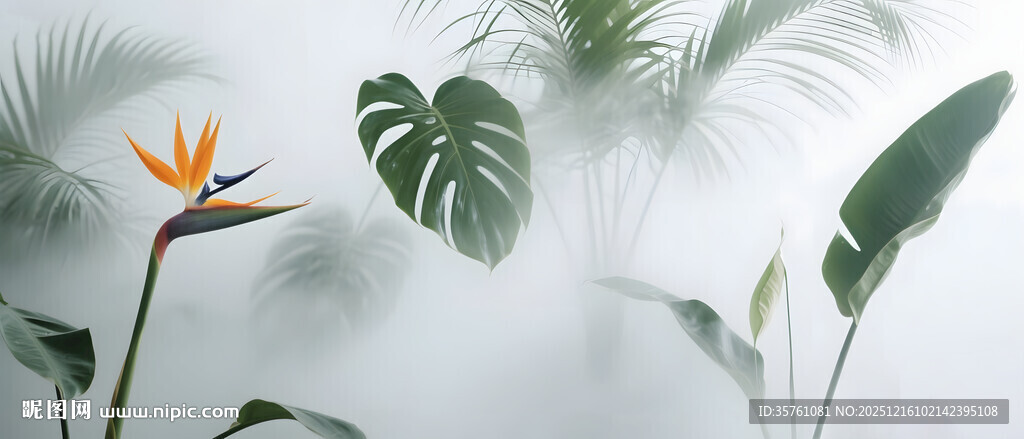 雾气磨砂膜效果绿植贴图