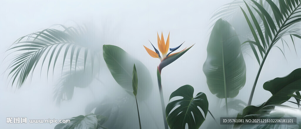 雾气磨砂膜效果绿植贴图