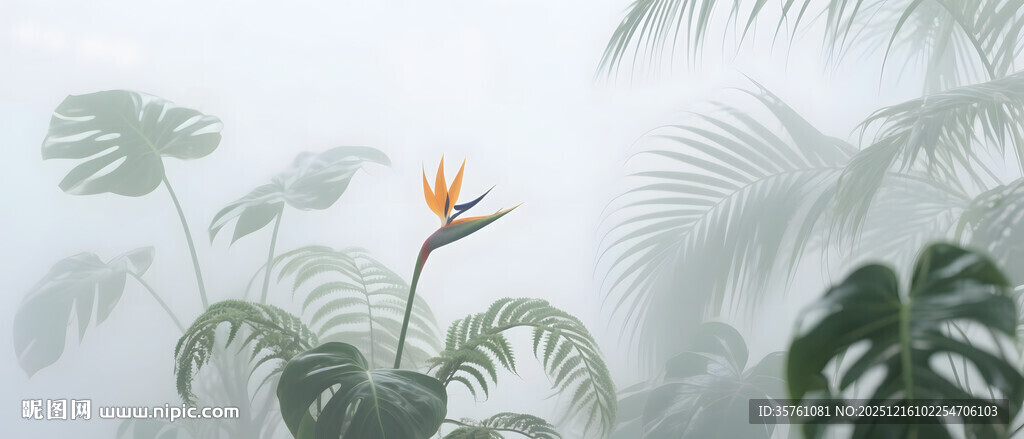 雾气磨砂膜效果绿植贴图