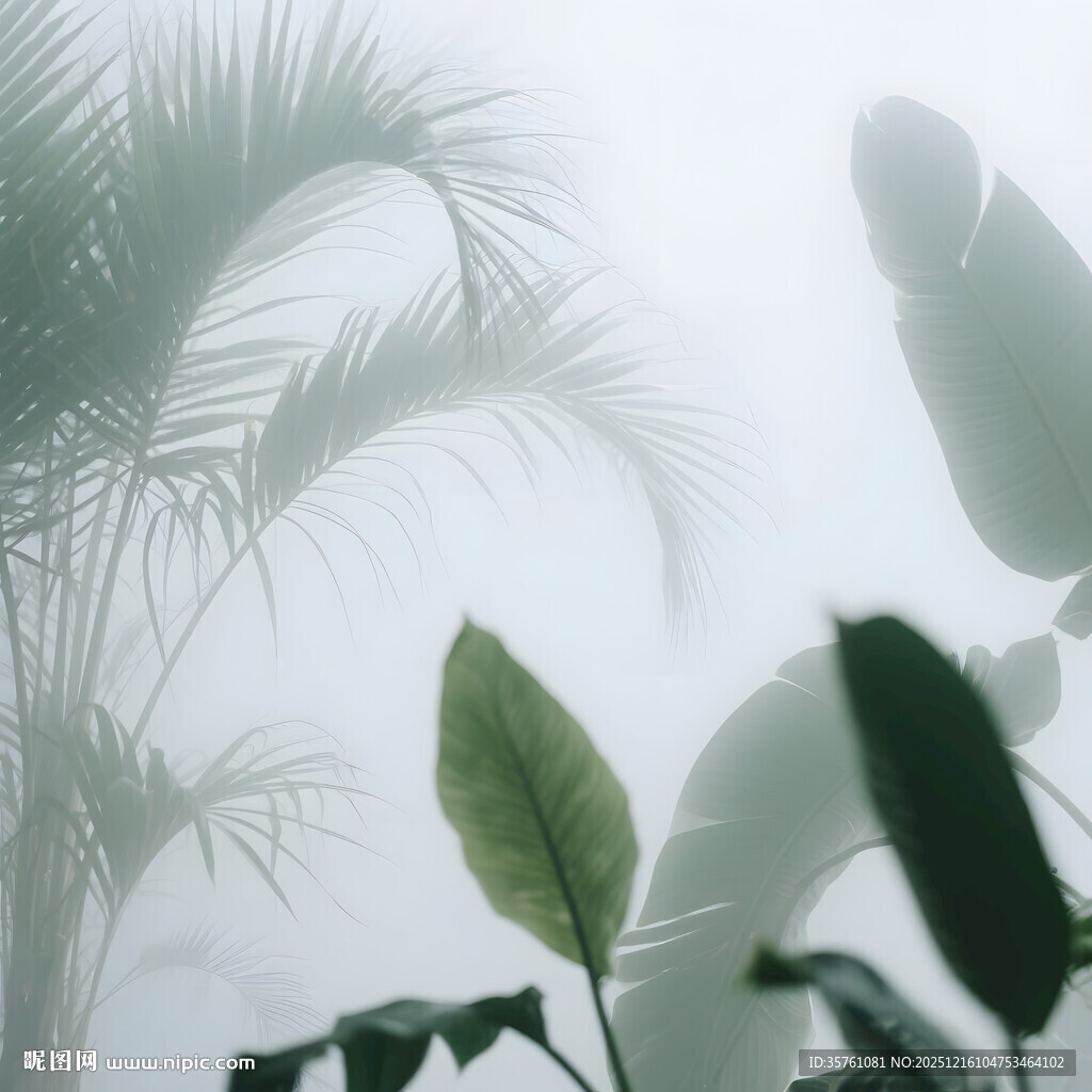 雾气磨砂膜效果绿植贴图