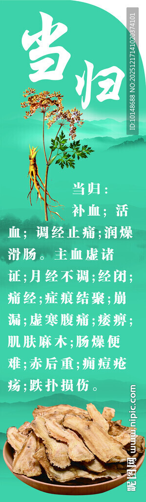 岷县当归药材展示