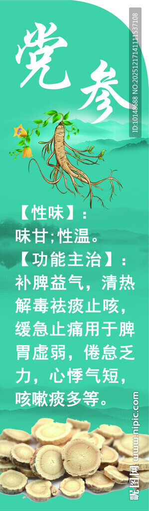 党参陇西中药材展示及功效介绍