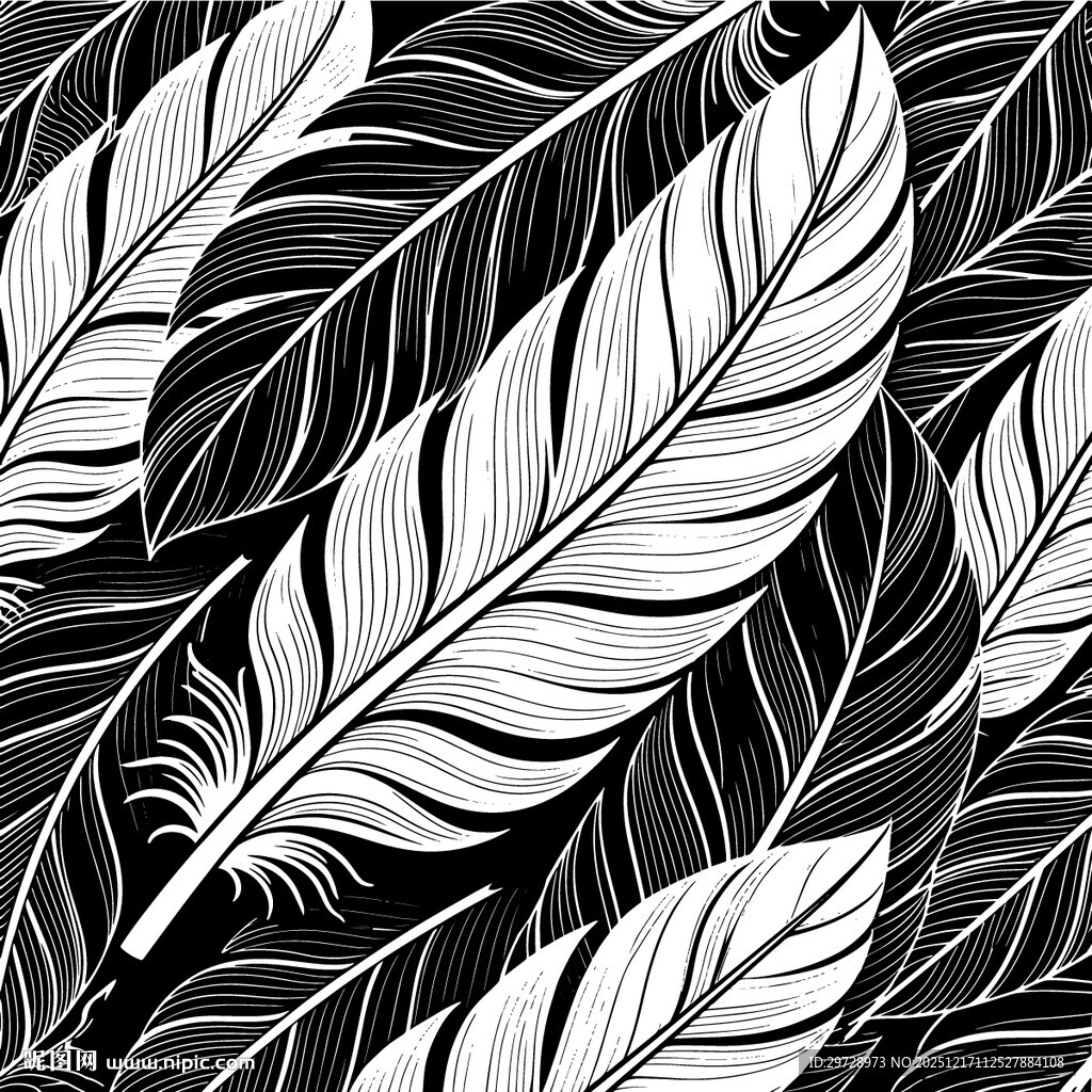 黑白羽毛图案纹理背景