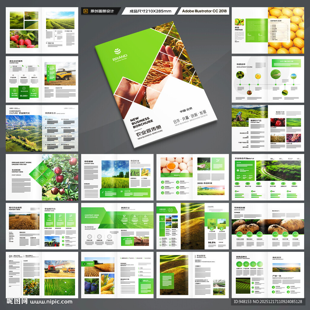 农产品宣传册