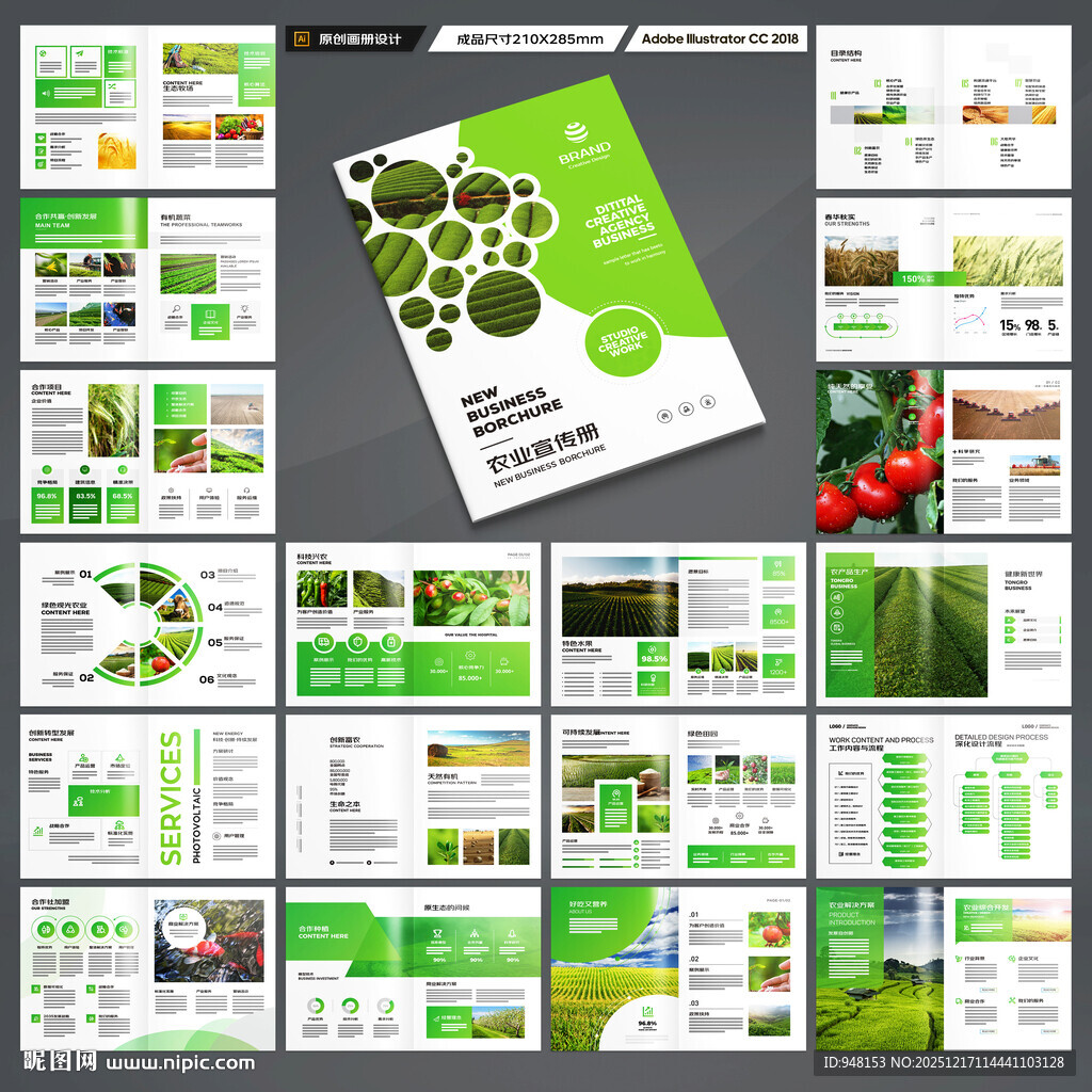 农产品画册