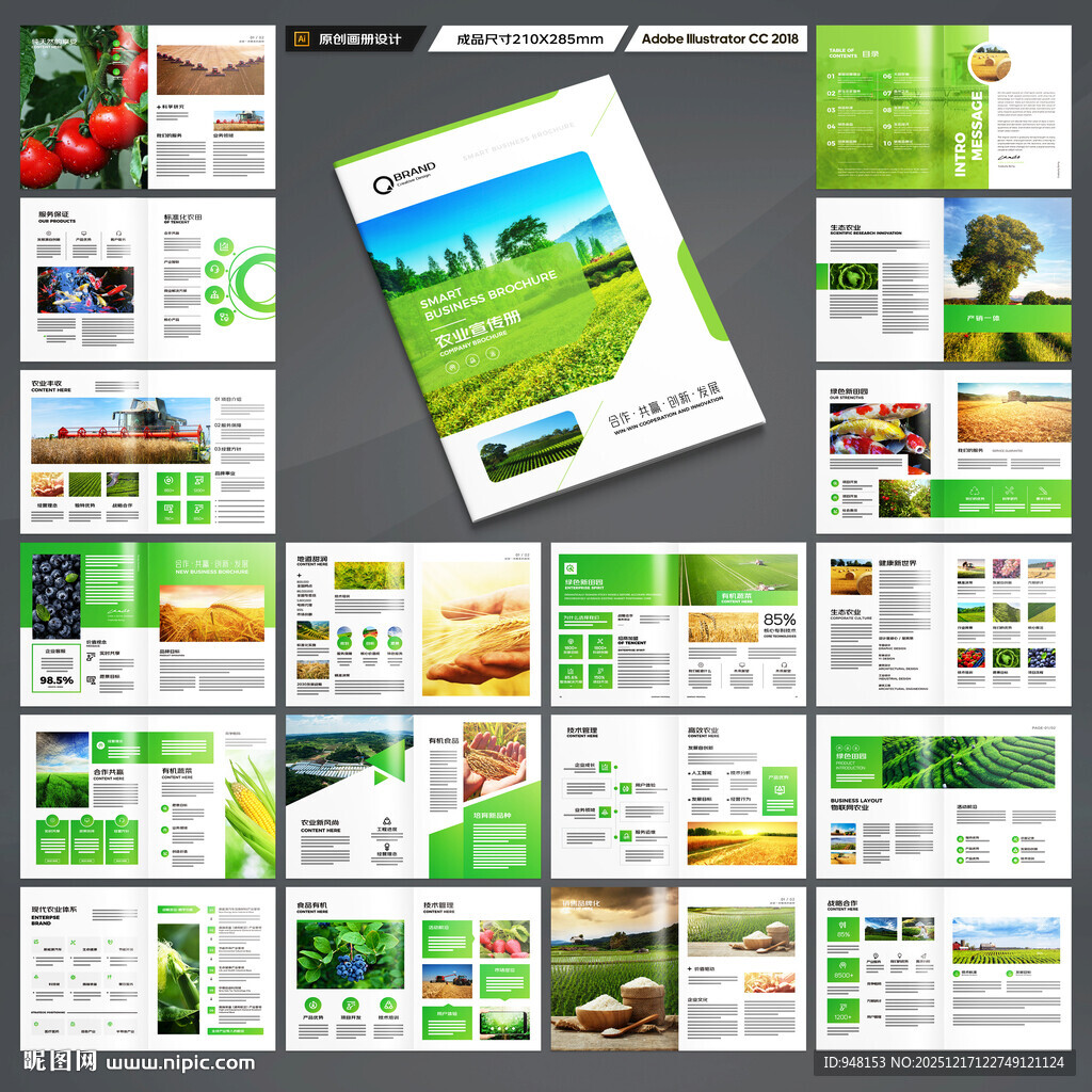 农业合作社画册