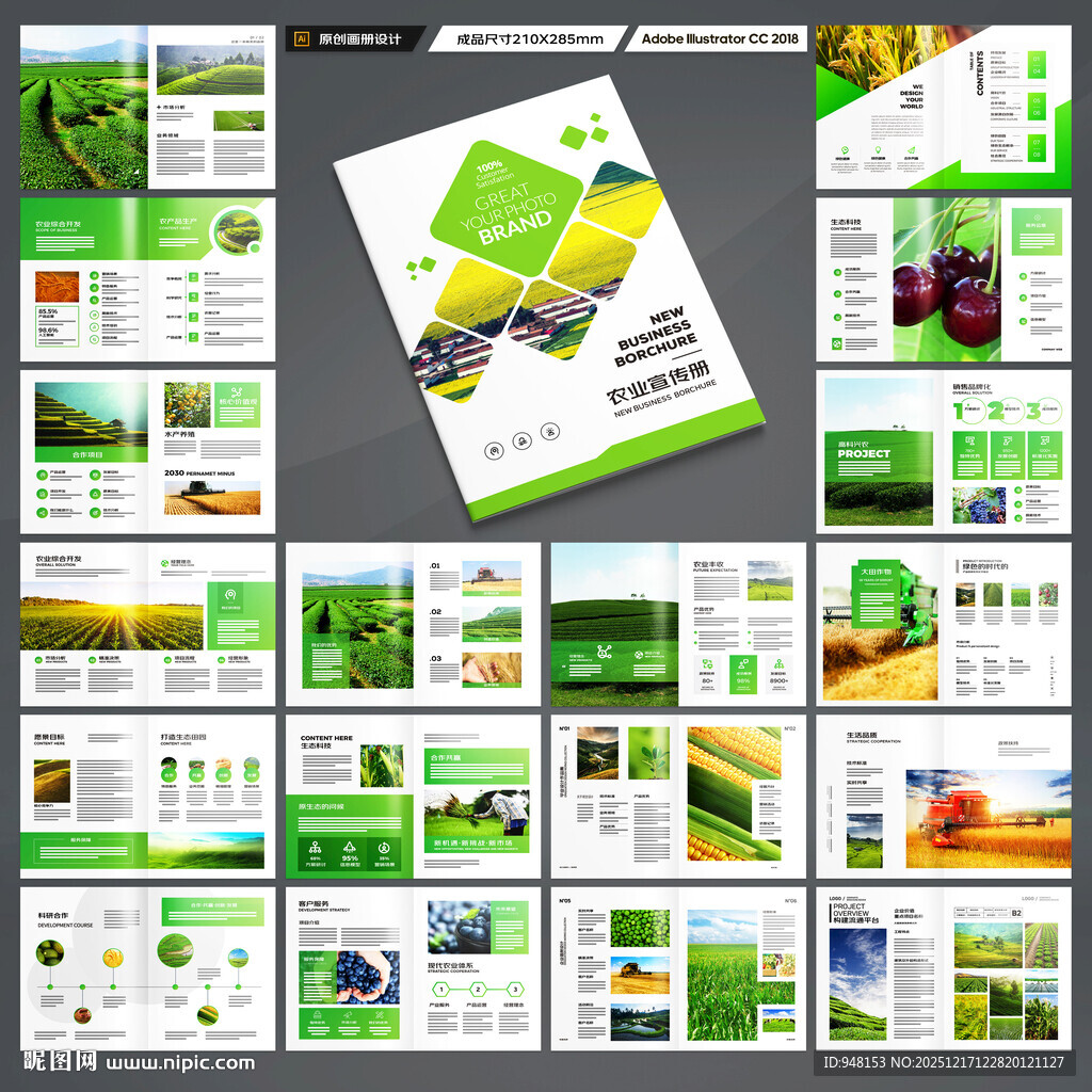 农产品画册
