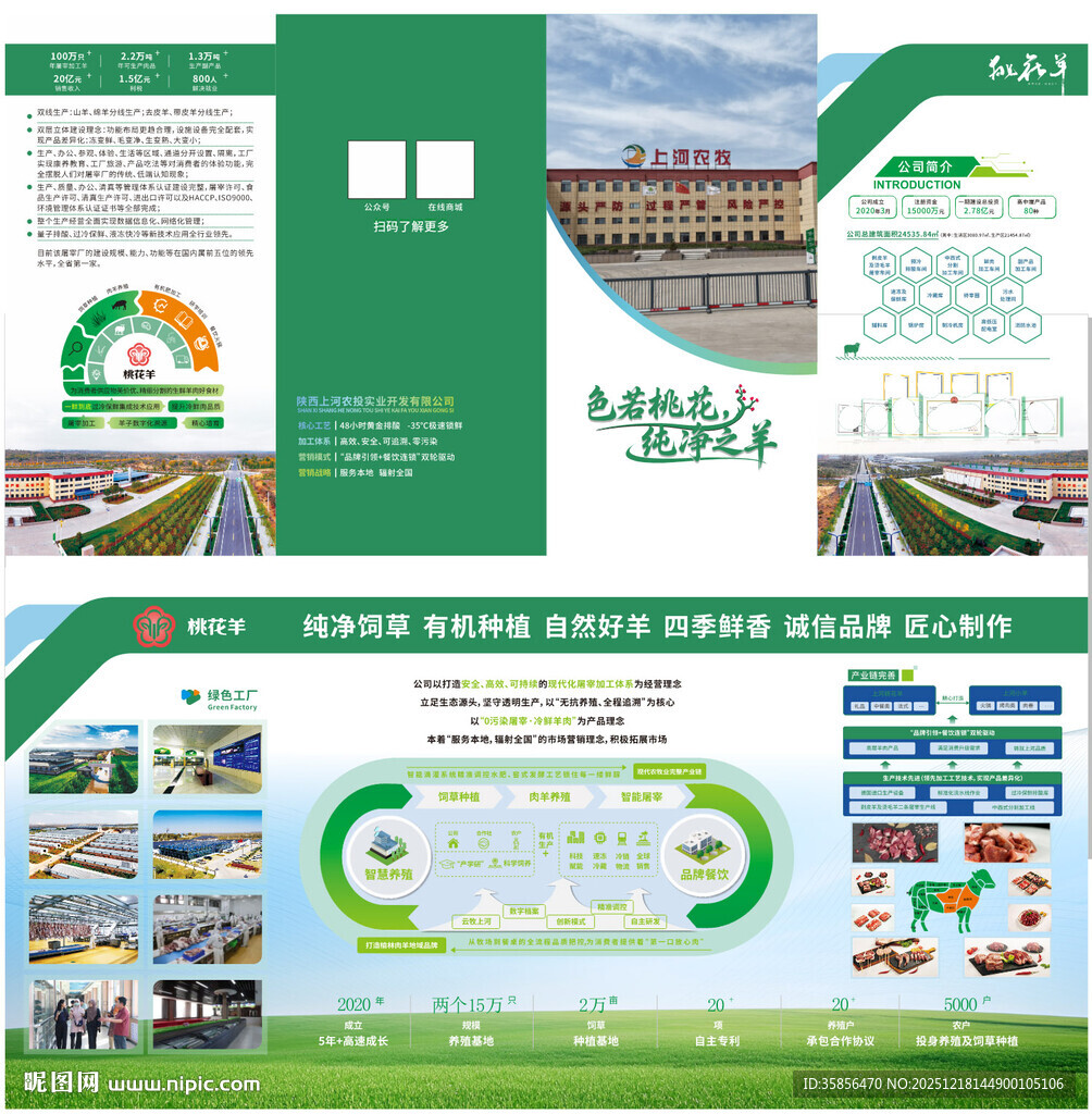 羊肉宣传折页设计展示