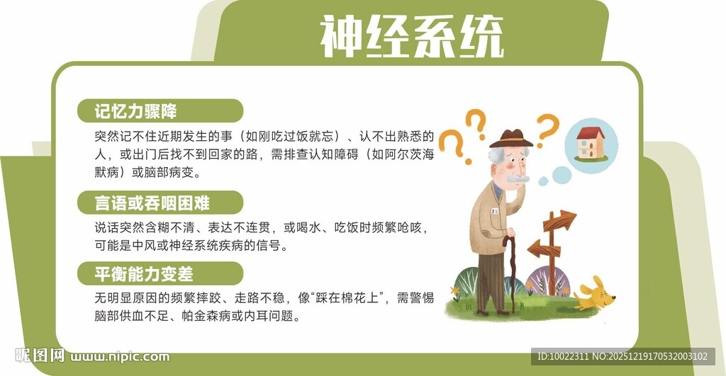 神经系统科普知识展示