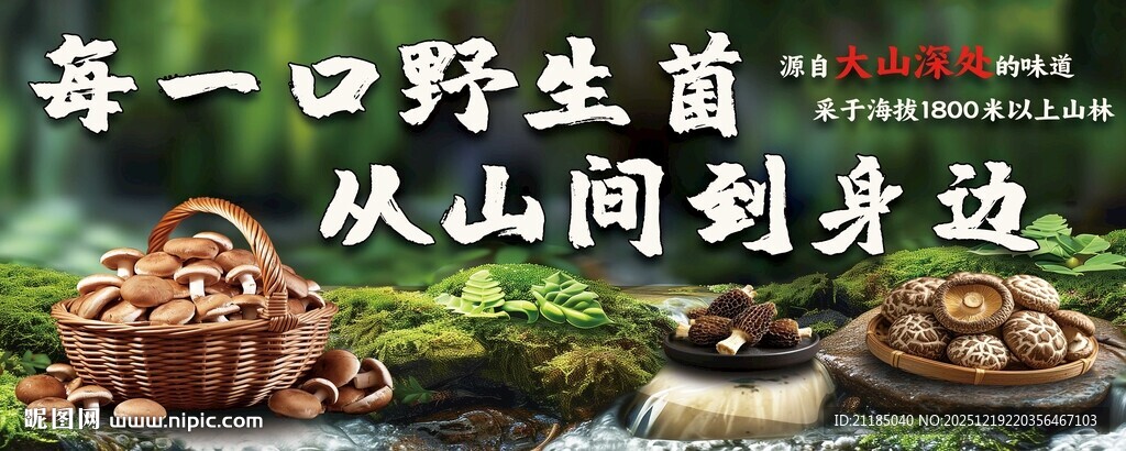 山间野生菌 美味新体验