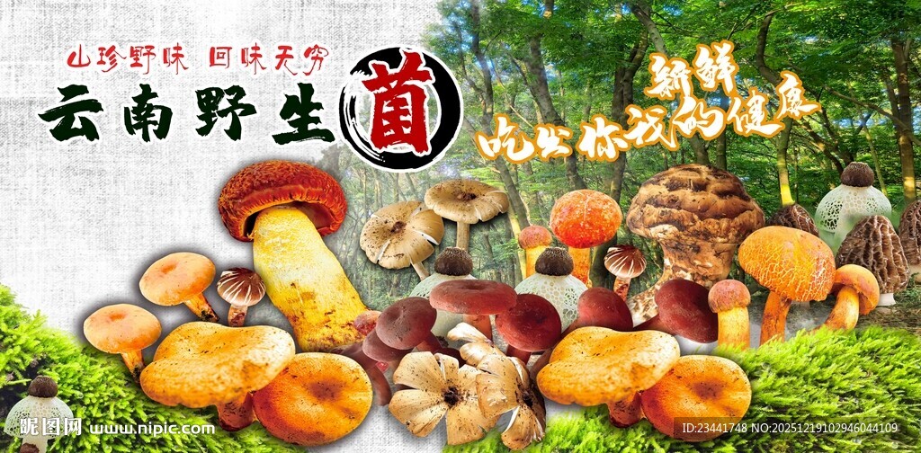 云南野生菌