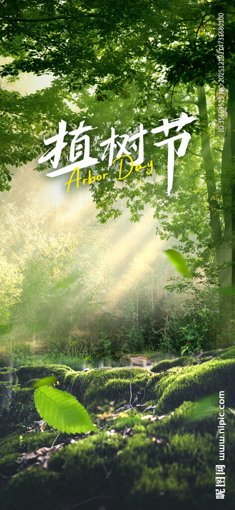 植树节阳光洒落的绿意植树节场景