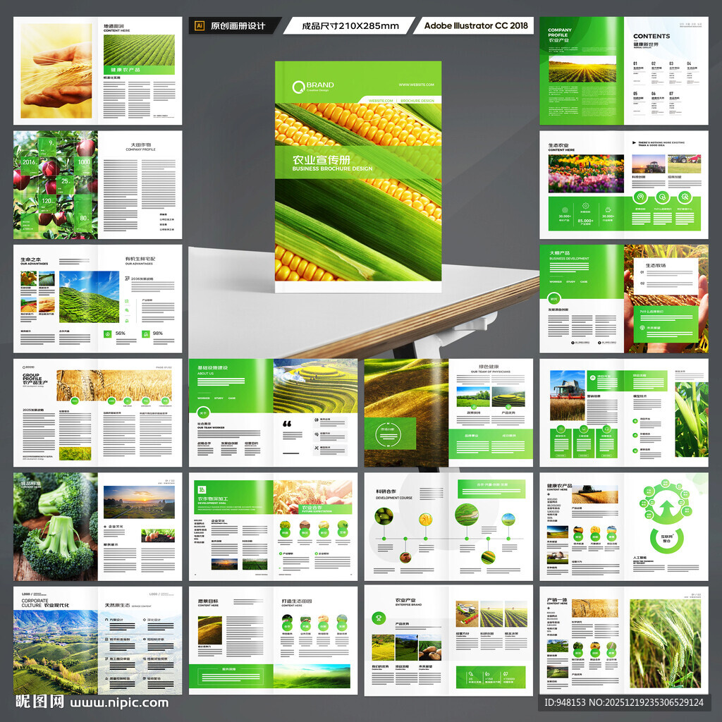 农业科技画册