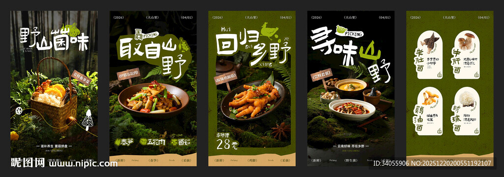 云南山野菜野生菌菌菇海报