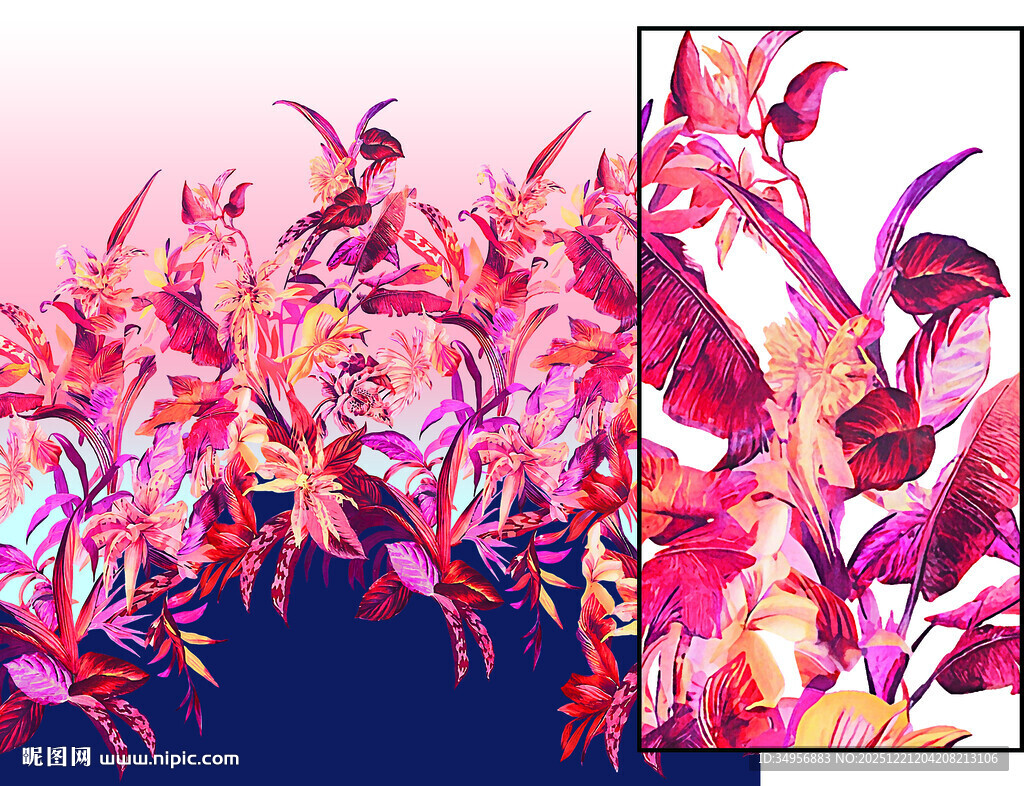 多彩羽毛艺术插画 扣的介意勿下