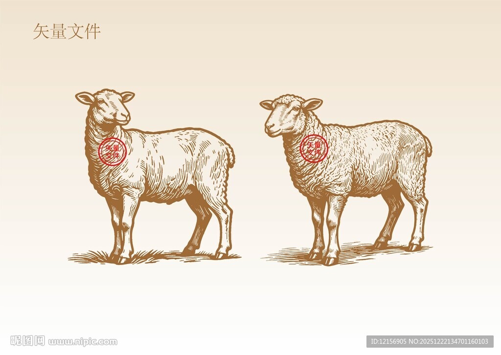 手绘羊插画