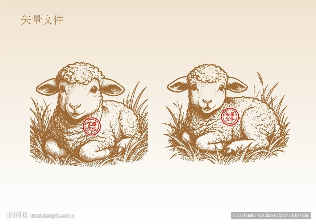 手绘羊素描插画