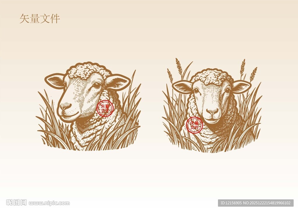 手绘羊插画