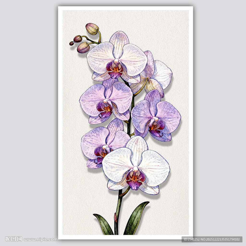 紫色蝴蝶兰花卉装饰图