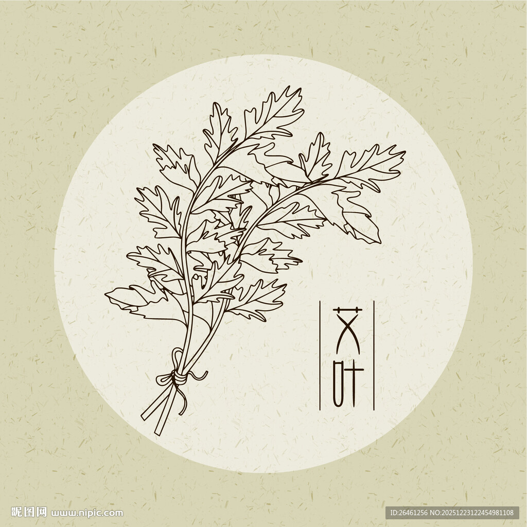 矢量手绘艾叶插画