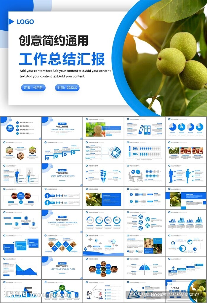 精美核桃种植产业总结计划ppt