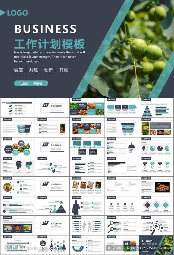 精美核桃种植产业总结计划ppt