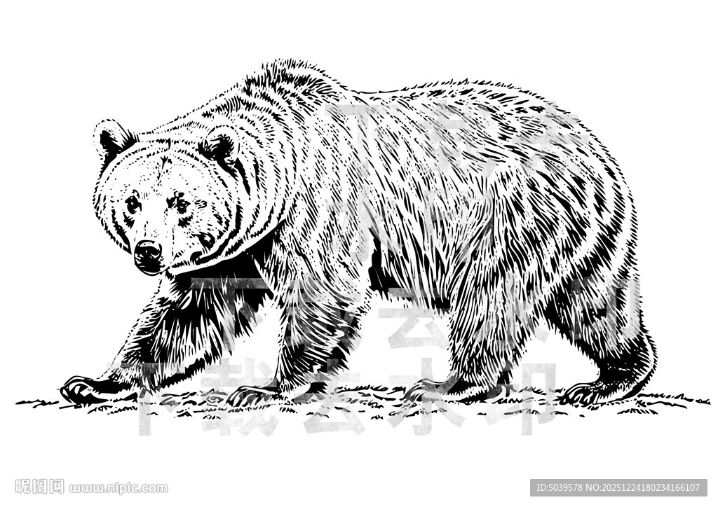 矢量手绘线描黑熊图