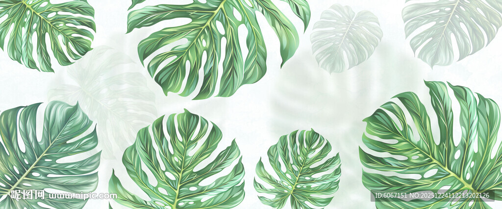 热带雨林绿植雾气模糊背景