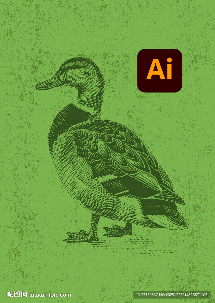 鸭子插画