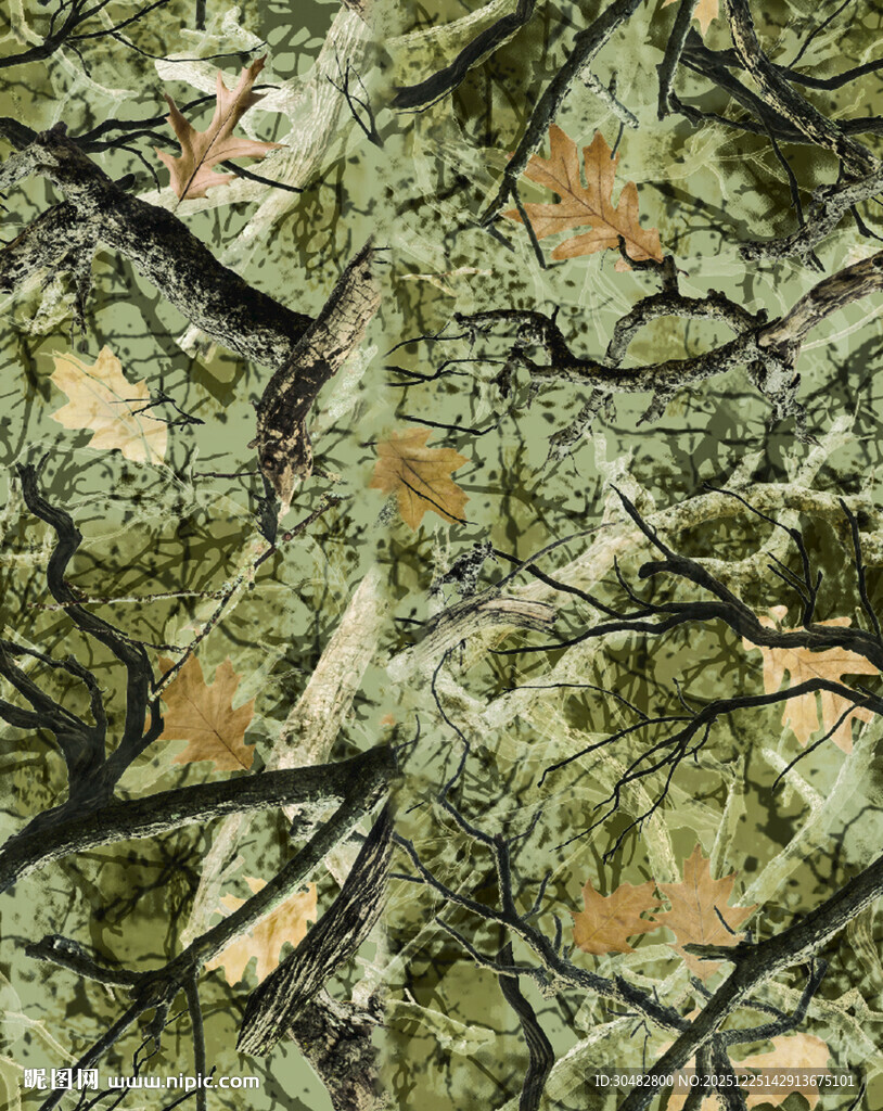 迷彩树叶图案纹理