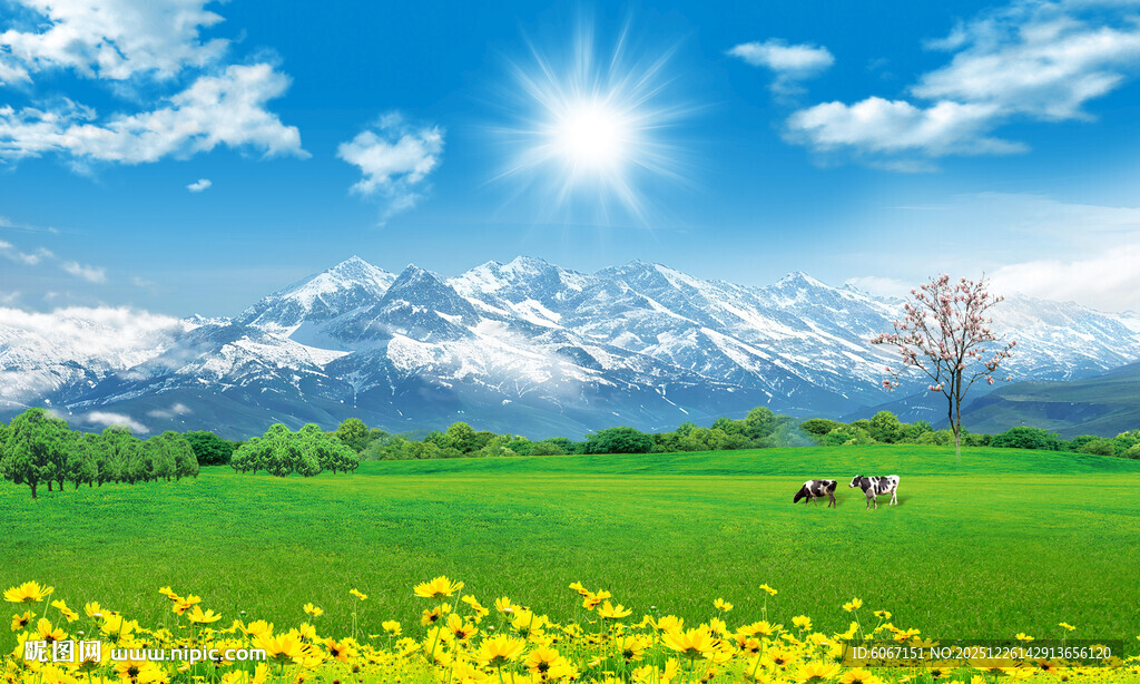 蓝天白云大草原