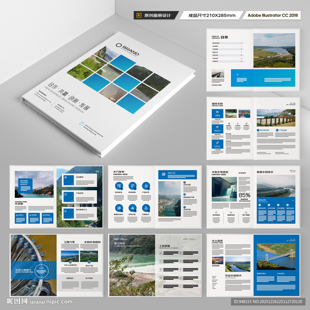 大坝宣传册 