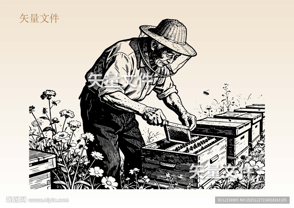 蜂农素描 养蜂人插画