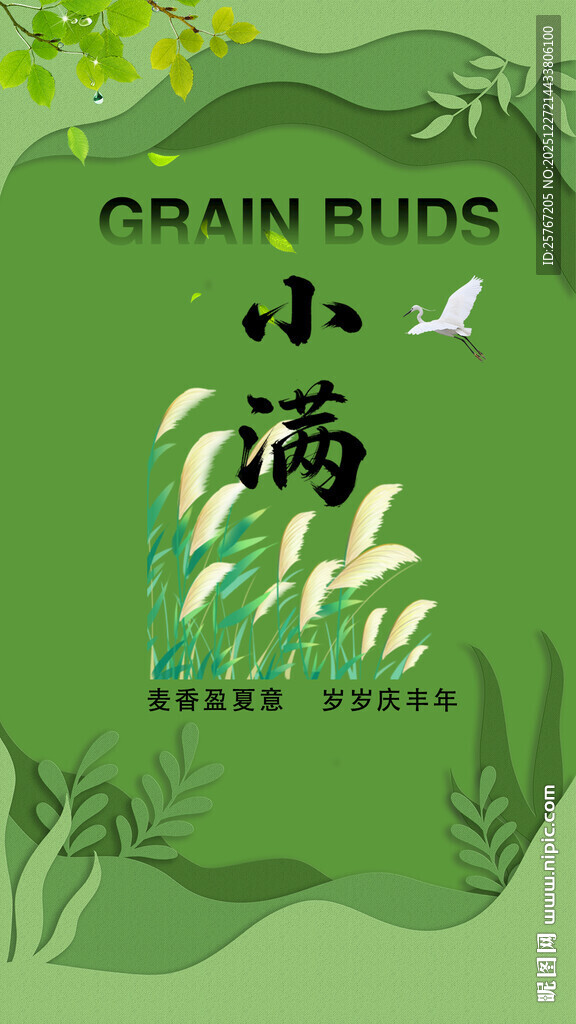 小清新风格谷物插画海报小满