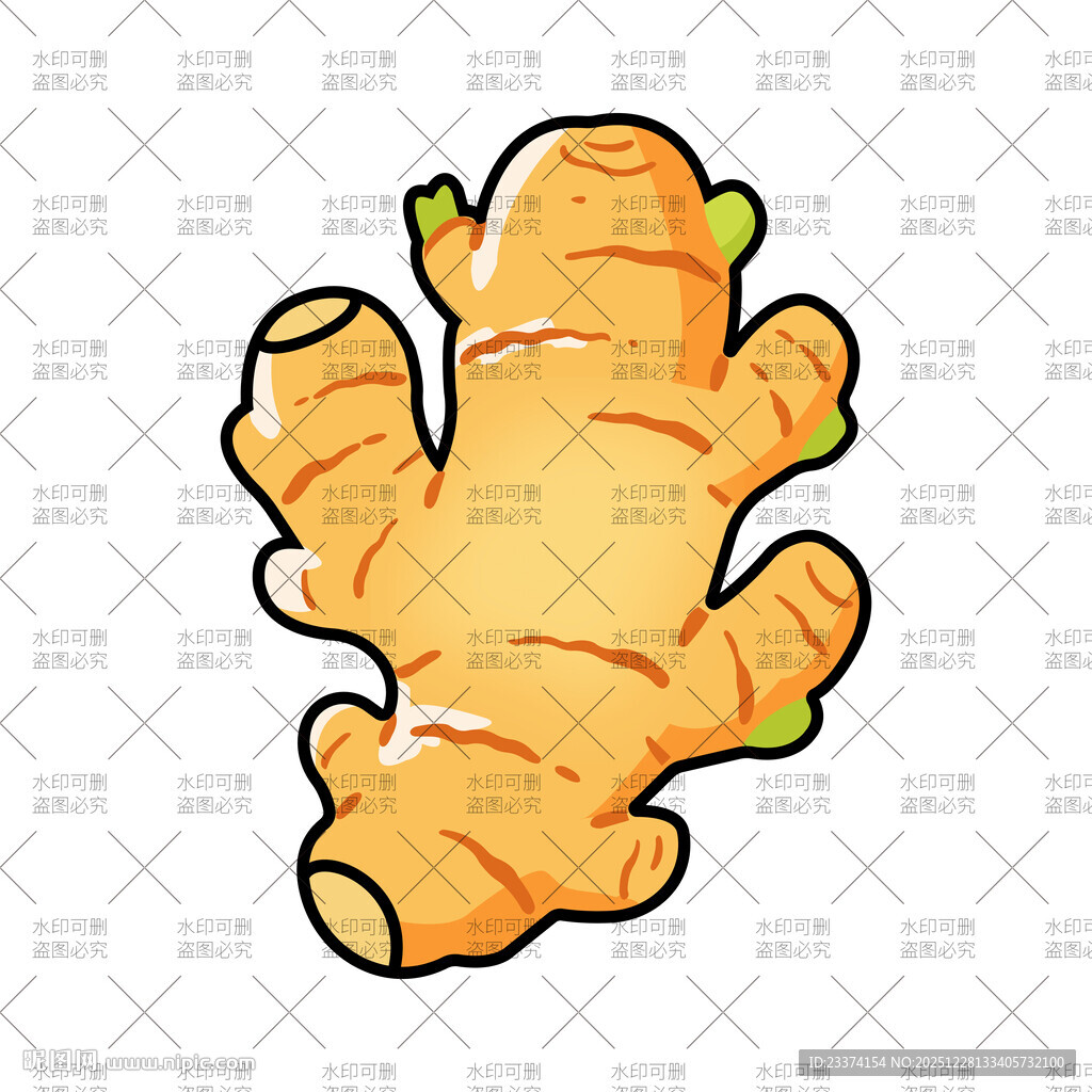 卡通生姜形象插画