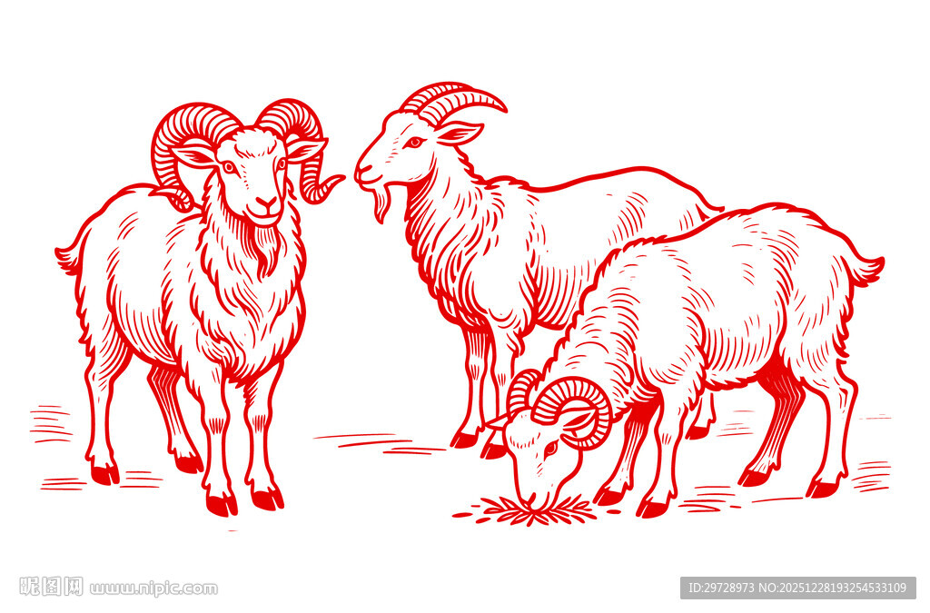 三只羊插画