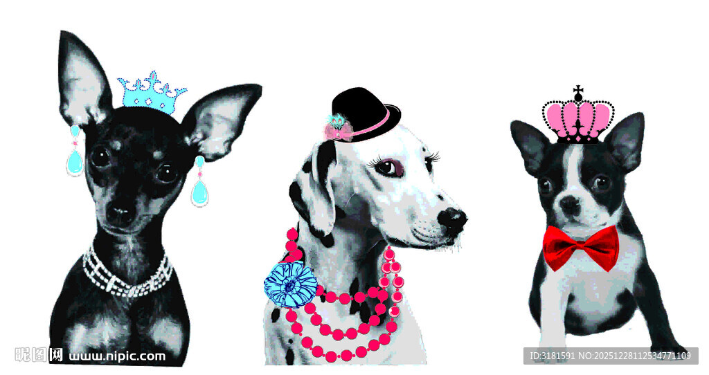 时尚装扮的三只可爱狗狗