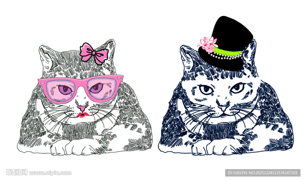时尚猫咪插画